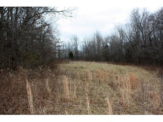 Property photo 7 - LAND AUCTION - 138+/- ACRES OFFERED IN 3 TRACTS IN SPENCER COUNTY, INDIANA
